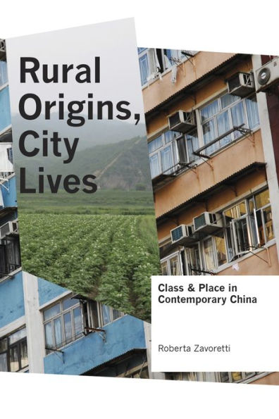 Rural Origins, City Lives: Class and Place in Contemporary China