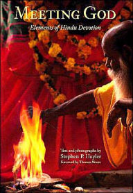 Meeting God: Elements of Hindu Devotion