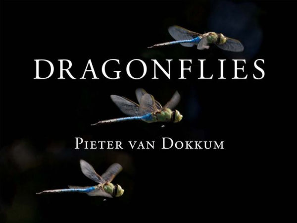 Dragonflies: Magnificent Creatures of Water, Air, and Land