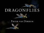 Dragonflies: Magnificent Creatures of Water, Air, and Land