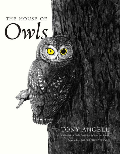 The House of Owls