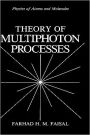 Theory of Multiphoton Processes