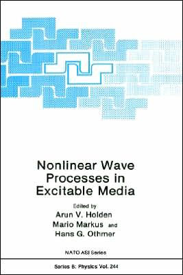 Nonlinear Wave Processes in Excitable Media / Edition 1