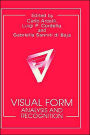 Visual Form: Analysis and Recognition