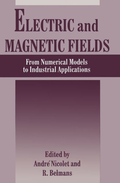 Electric and Magnetic Fields: From Numerical Models to Industrial Applications