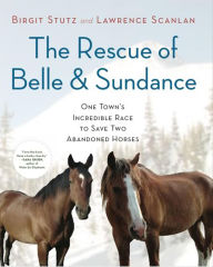Title: The Rescue of Belle and Sundance: One Town's Incredible Race to Save Two Abandoned Horses, Author: Birgit Stutz