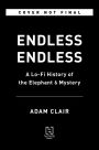 Endless Endless: A Lo-Fi History of the Elephant 6 Mystery