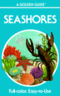 Seashores