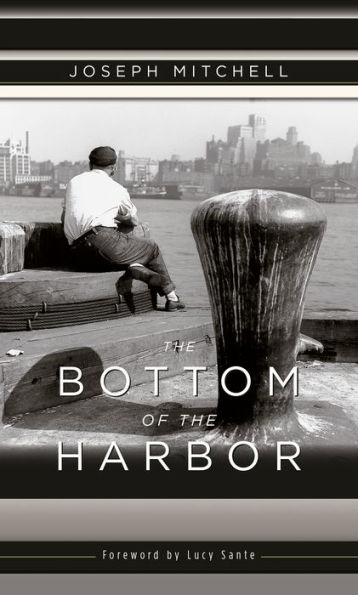 Bottom of the Harbor