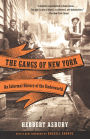 The Gangs of New York: An Informal History of the Underworld
