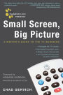 Small Screen, Big Picture: A Writer's Guide to the TV Business