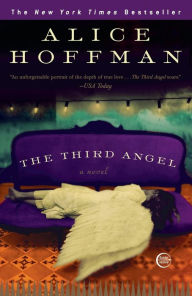 Title: The Third Angel, Author: Alice Hoffman