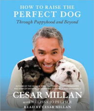 How to Raise the Perfect Dog: Through Puppyhood and Beyond