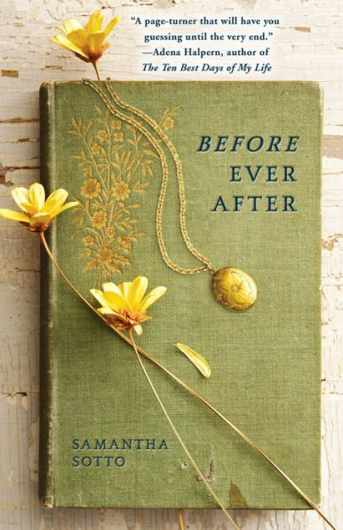 Before Ever After: A Novel