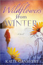 Wildflowers from Winter