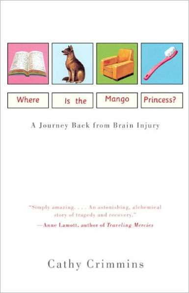 Where Is the Mango Princess?: A Journey Back From Brain Injury