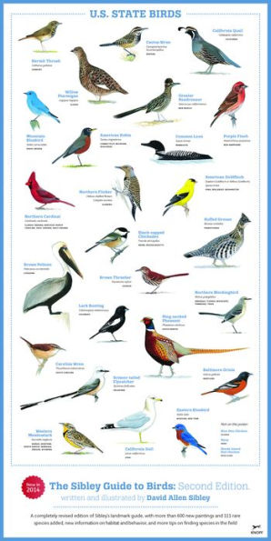 The Sibley Guide to Birds, Second Edition