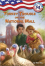 Turkey Trouble on the National Mall (Capital Mysteries Series #14)