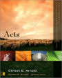 Acts: Zondervan Illustrated Bible Backgrounds Commentary