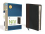NIV Study Bible Indexed