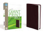 NIV Compact Bible, Giant Print