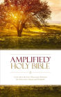 Amplified Holy Bible, Paperback: Captures the Full Meaning Behind the Original Greek and Hebrew