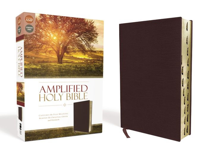 Amplified Holy Bible, Bonded Leather, Burgundy, Thumb Indexed Captures