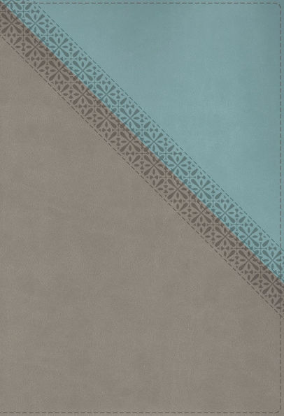 NIV Application Bible, Leathersoft, Teal/Grey, Red Letter, Comfort Print: Bringing the Ancient Message of the Bible into Your World
