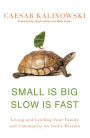 Small Is Big, Slow Is Fast: Living and Leading Your Family and Community on God's Mission