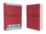 NIrV Gift Bible