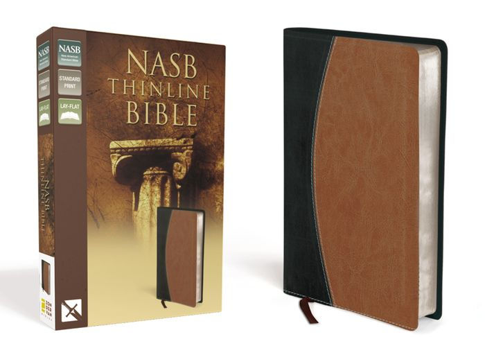 NASB Thinline Bible By Zondervan, Paperback | Barnes & Noble®