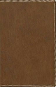 Archaeological Study Bible: An Illustrated Walk Through Biblical History and Culture