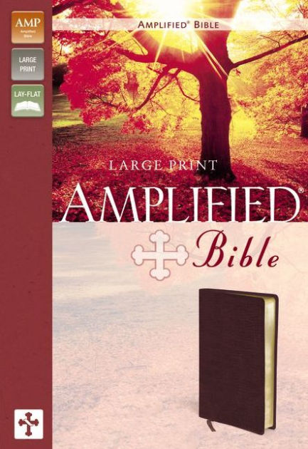 Amplified Bible, Large Print By Zondervan, Hardcover | Barnes & Noble®