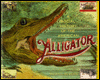 A Social History of the American Alligator: The Earth Trembles with His Thunder