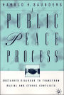 A Public Peace Process: Sustained Dialogue to Transform Racial and Ethnic Conflicts