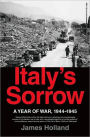 Italy's Sorrow: A Year of War: 1944--1945