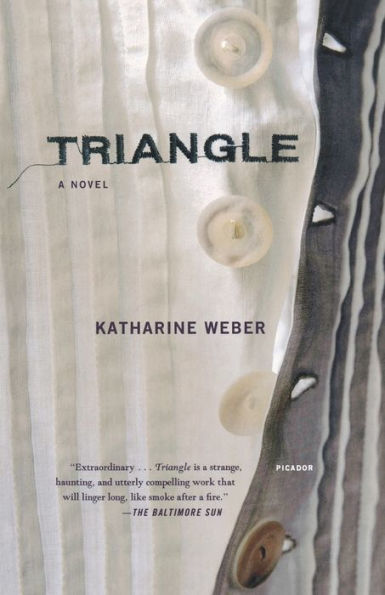Triangle: A Novel