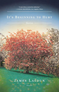 Title: It's Beginning to Hurt, Author: James Lasdun