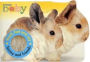 Bunny and Friends
