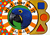 What Color Am I?