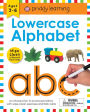 Wipe Clean Workbook: Lowercase Alphabet (enclosed spiral binding): Ages 3-6; with pen & flash cards