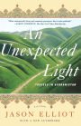 An Unexpected Light: Travels in Afghanistan
