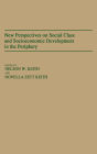 New Perspectives On Social Class And Socioeconomic Development In The Periphery