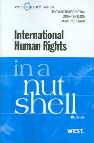 International Human Rights in a Nutshell