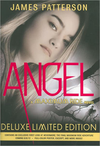 maximum ride the angel experiment book cover