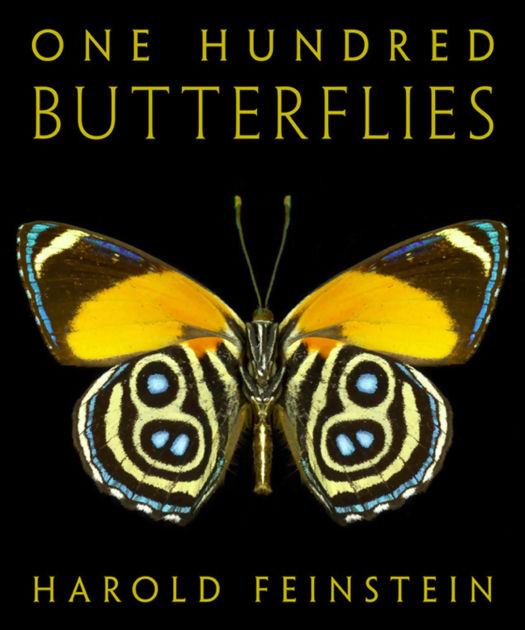 One Hundred Butterflies by Harold Feinstein | eBook | Barnes & Noble®