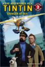 Danger at Sea (The Adventures of Tintin Series)