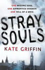 Alternative view 2 of Stray Souls