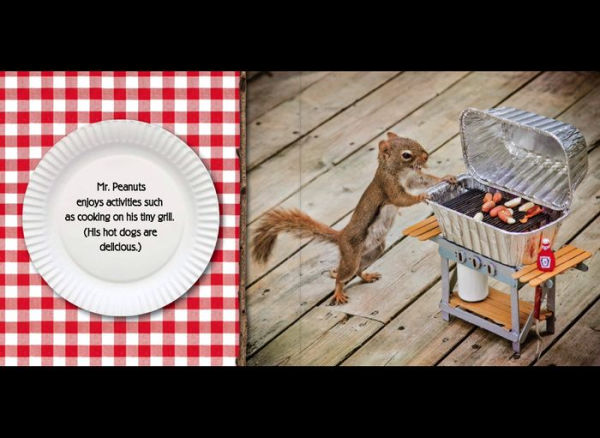 The Secret Life of Squirrels