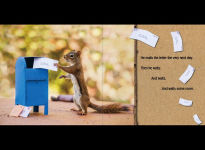 Alternative view 3 of The Secret Life of Squirrels